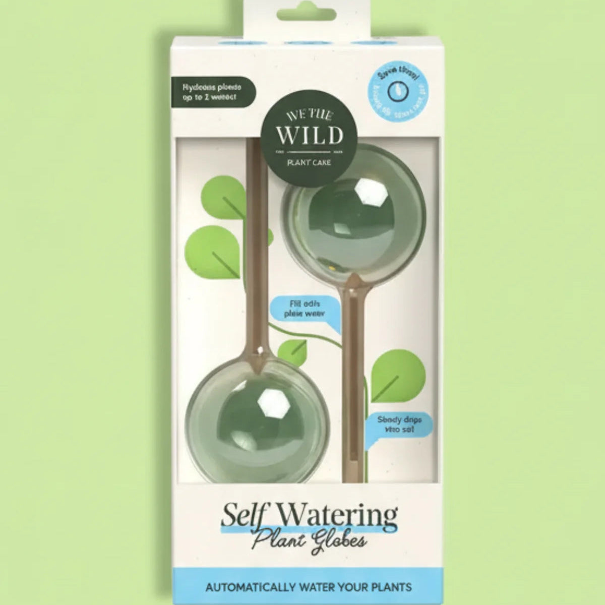 Self Watering Plant Globe