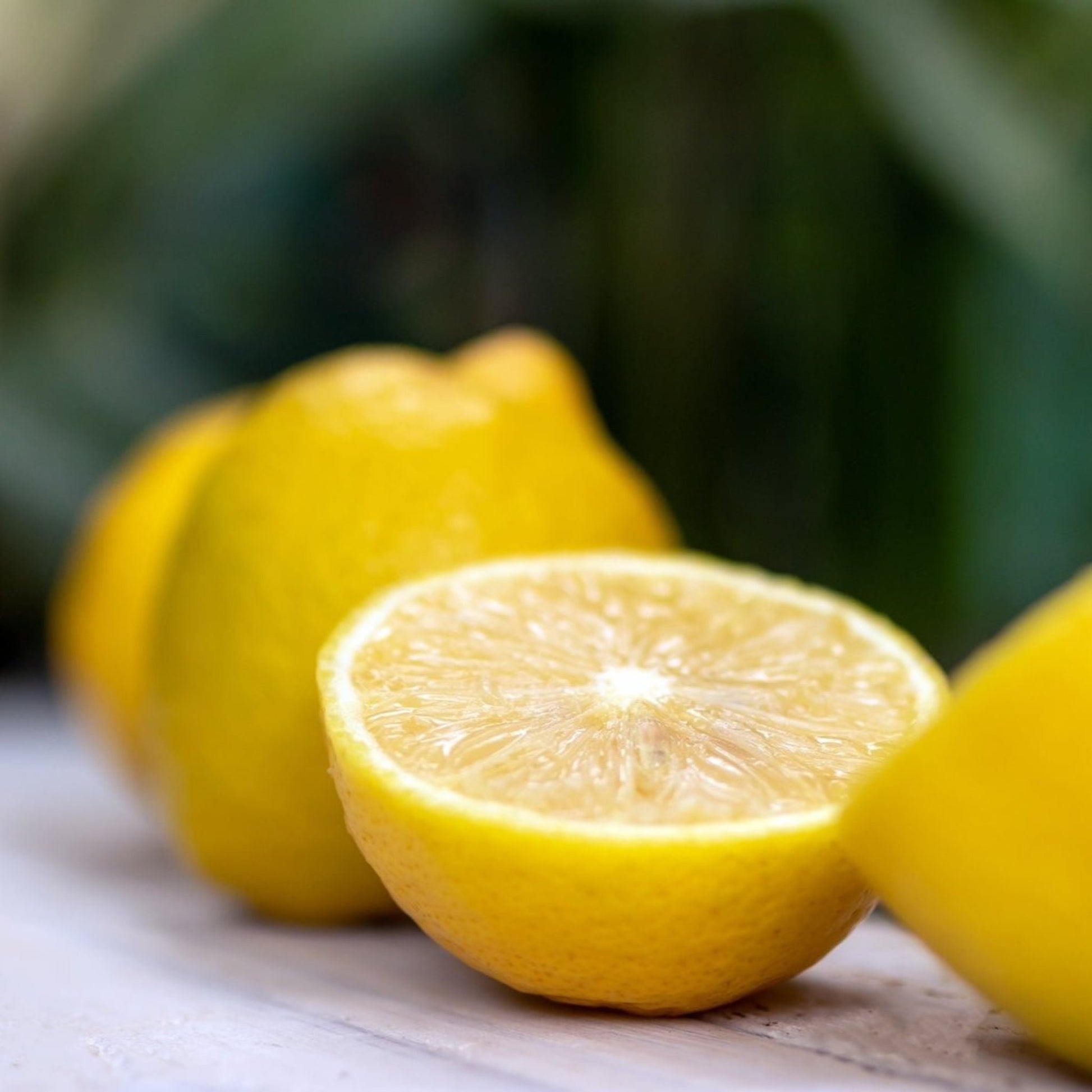 Lisbon Lemon Tree fruit