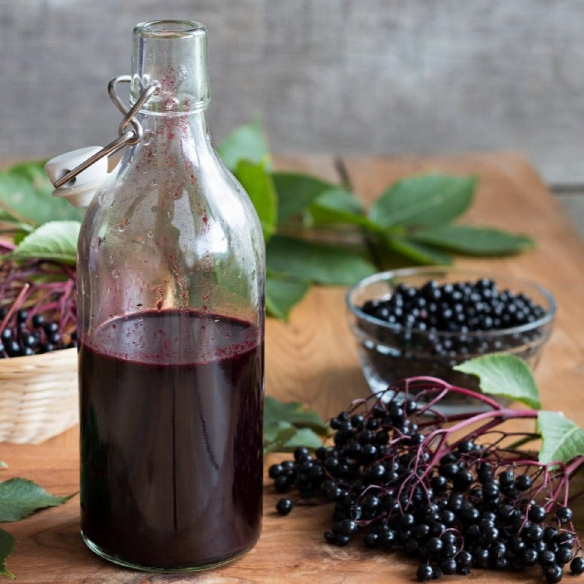 Marge Elderberry syrup