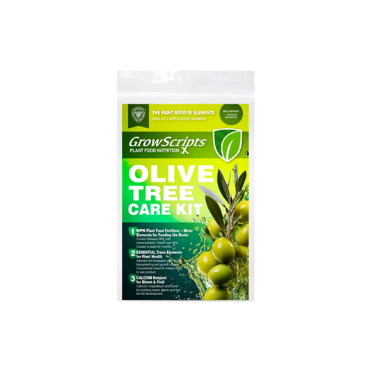 Olive Tree Care Kit