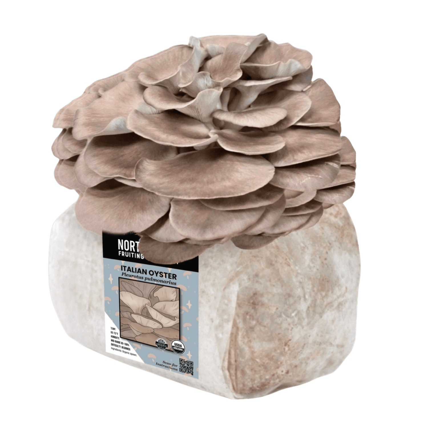 Organic Italian Oyster Mushroom Grow Kit Fruiting Block
