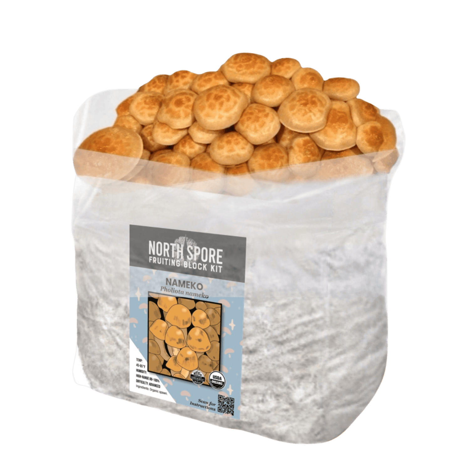 Organic Nameko Mushroom Grow Kit Fruiting Block