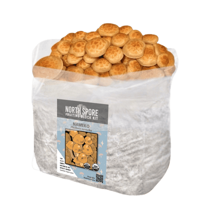 Organic Nameko Mushroom Grow Kit Fruiting Block