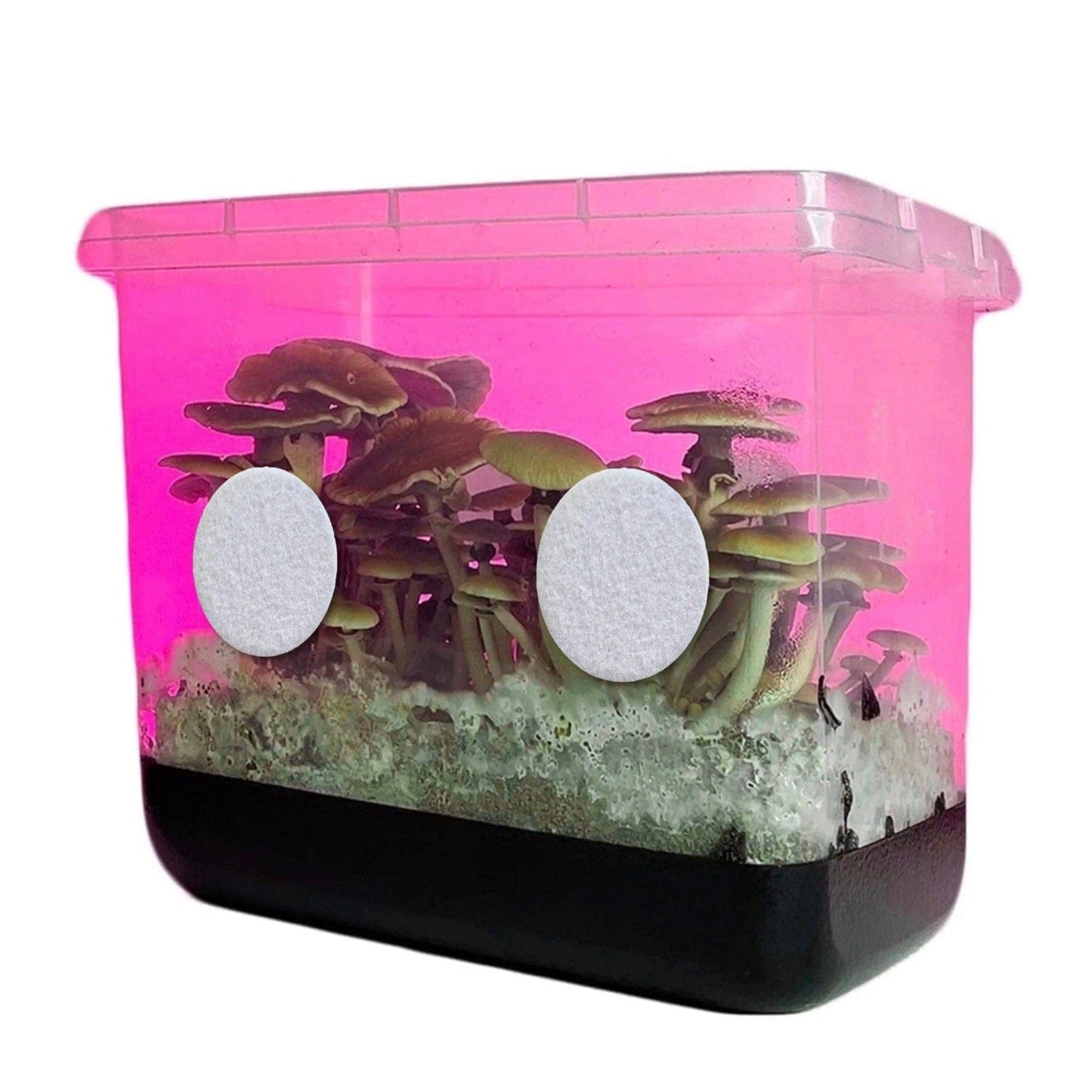 1" Adhesive Monotub 100% Cotton Disc Filters