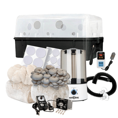 Automated 'Boomr Bin' + Fruiting Blocks Monotub Mushroom Grow Kit