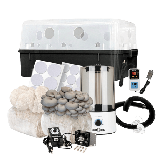 Automated 'Boomr Bin' + Fruiting Blocks Monotub Mushroom Grow Kit