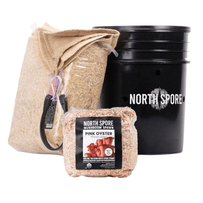 'MushBucket' Mushroom Bucket Grow Kit