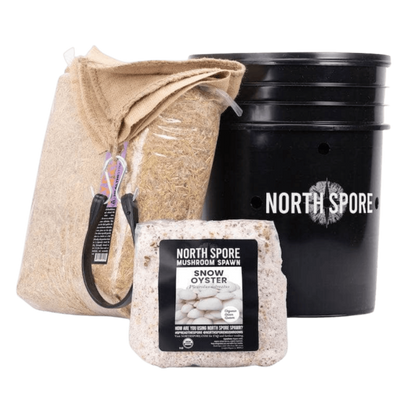 'MushBucket' Mushroom Bucket Grow Kit