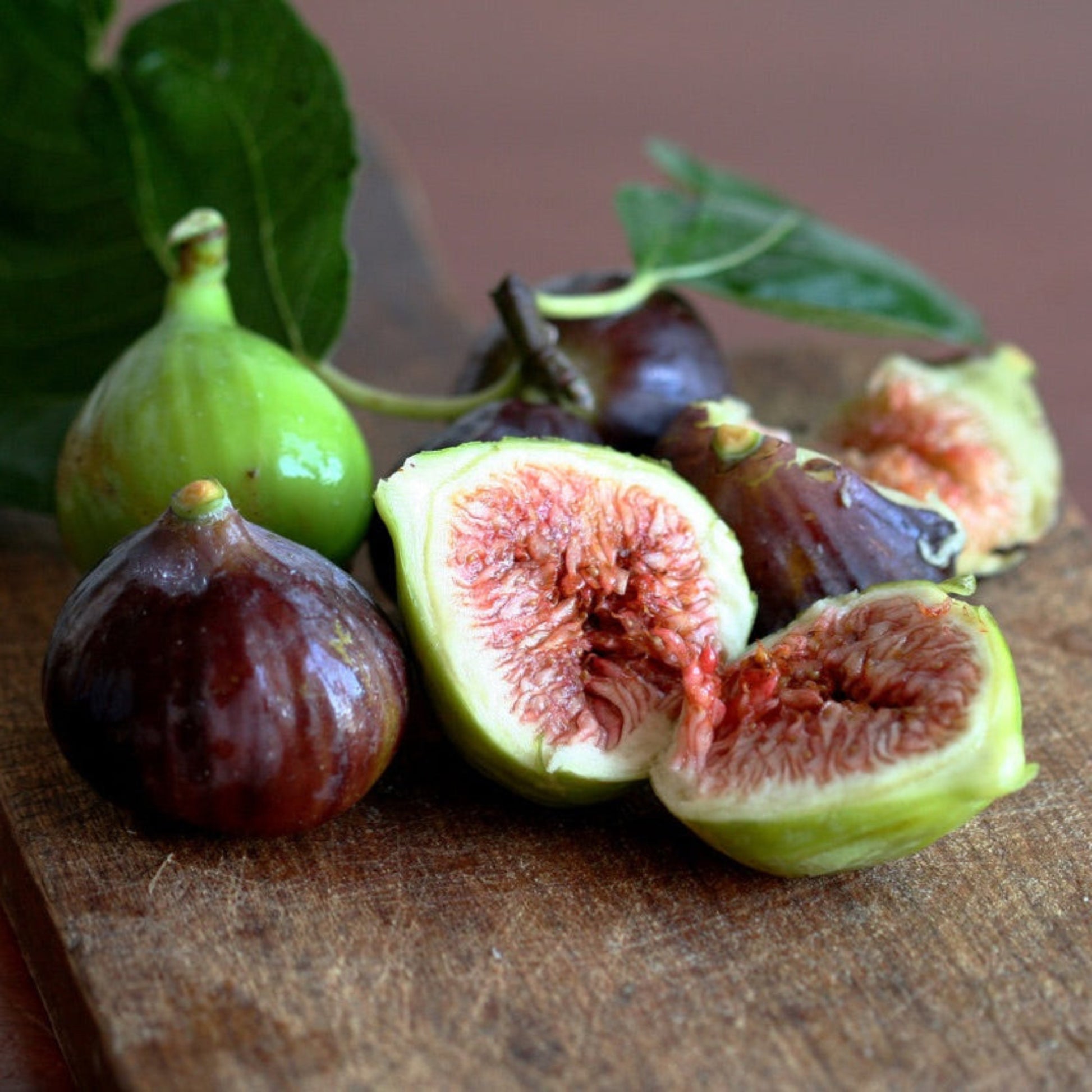 Little Miss Figgy fruit