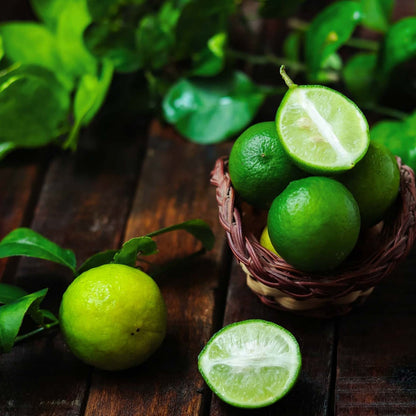 Key Lime Bush