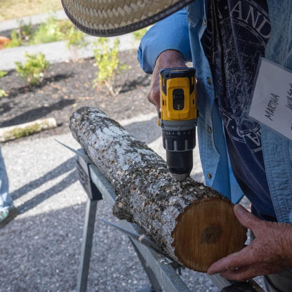 Mushroom Log Beginner Bundle