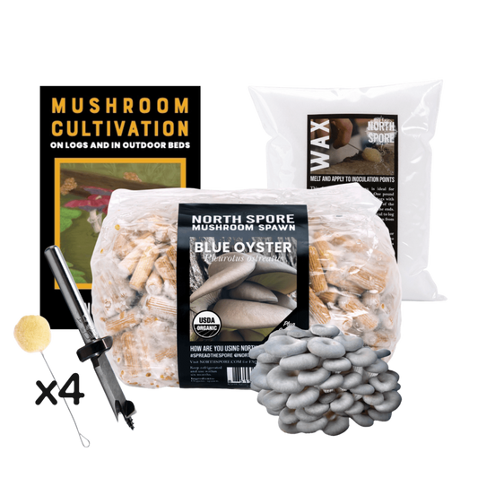 Mushroom Log Beginner Bundle