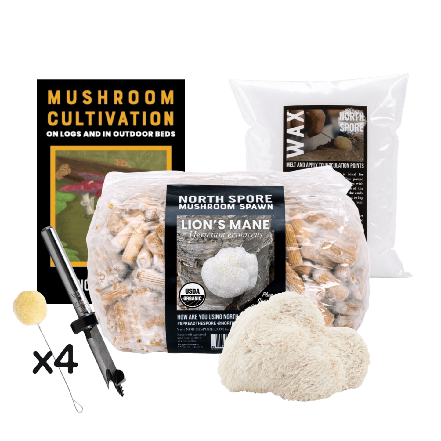 Mushroom Log Beginner Bundle