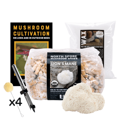 Mushroom Log Beginner Bundle