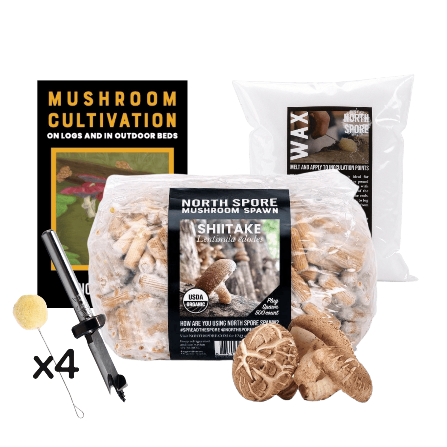 Mushroom Log Beginner Bundle