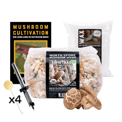 Mushroom Log Beginner Bundle