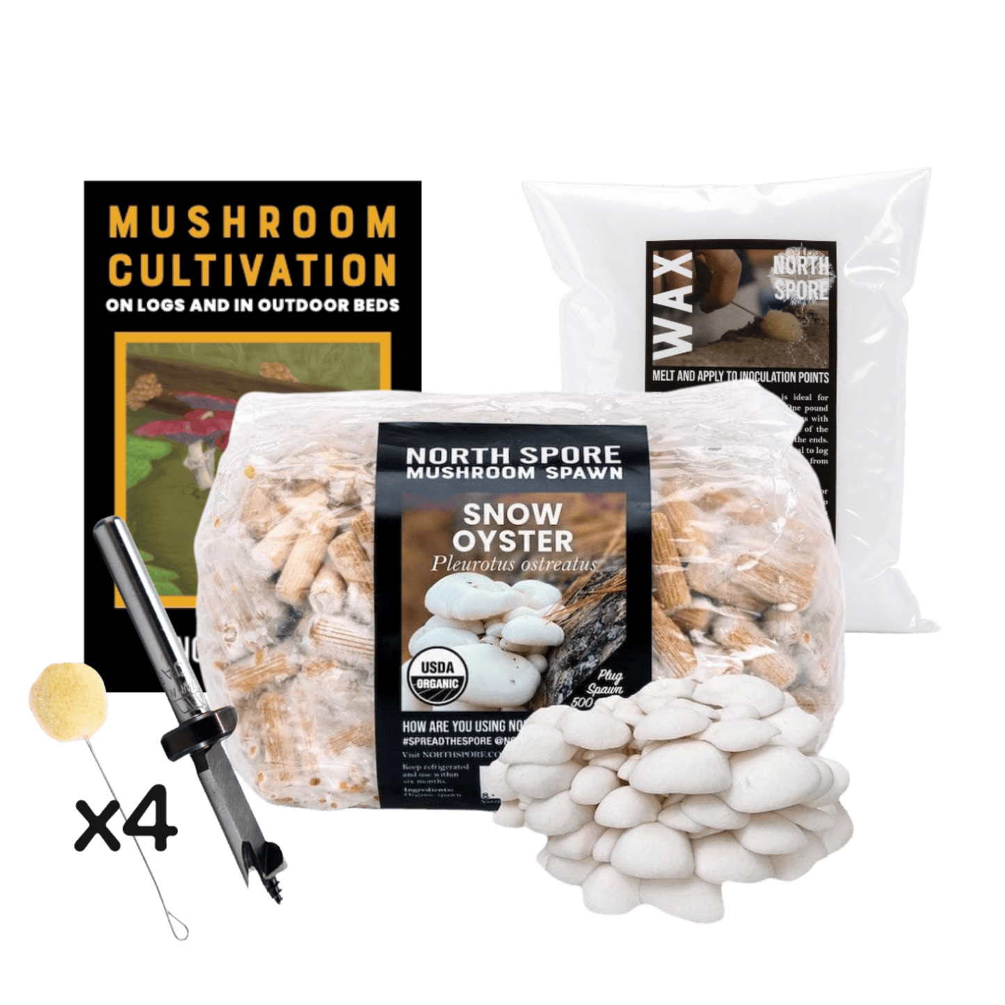 Mushroom Log Beginner Bundle