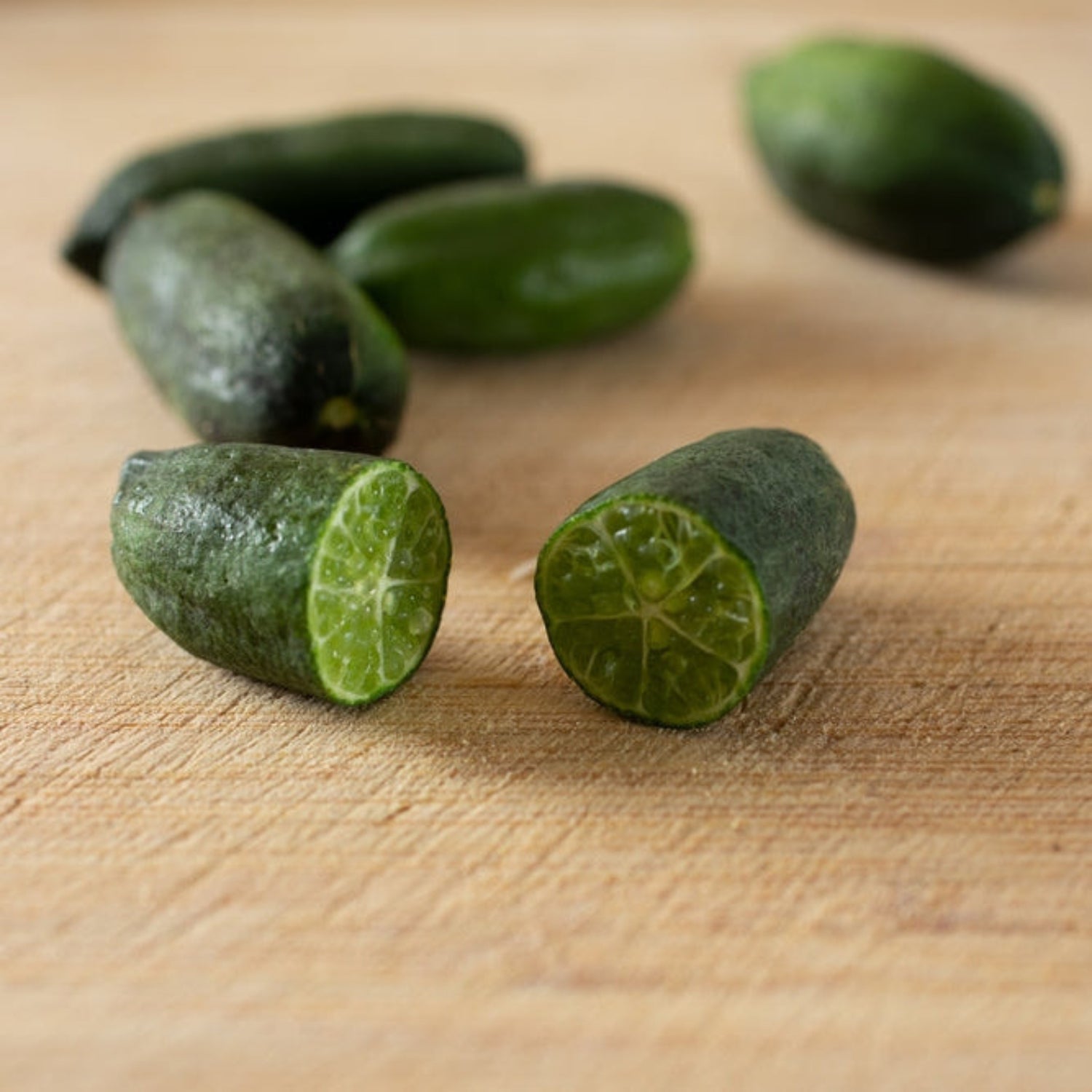Australian Finger Lime Tree