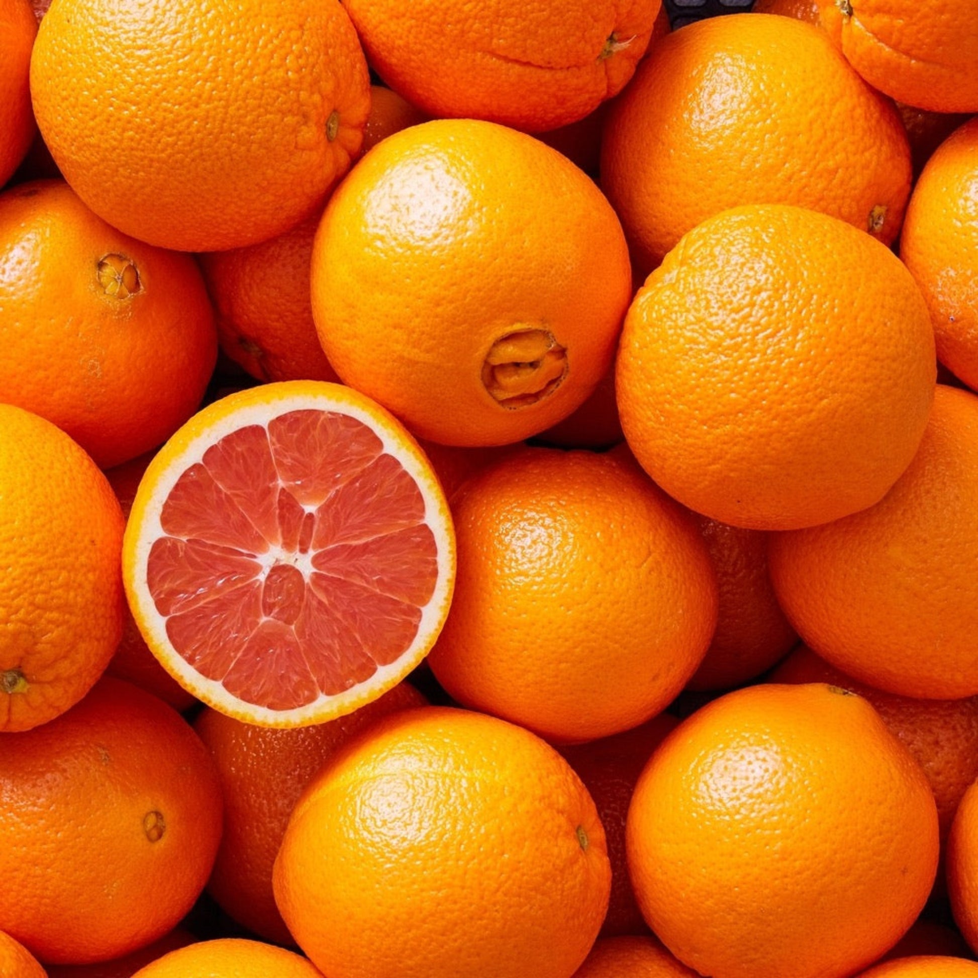 Cara Cara Orange Tree