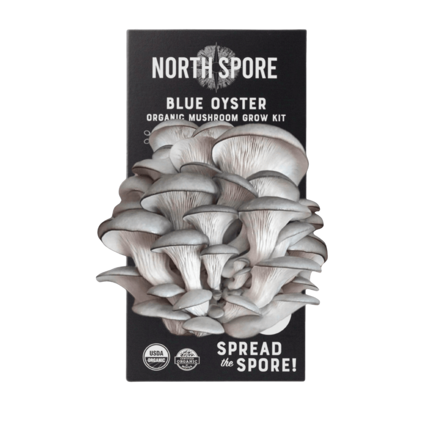 Organic Blue Oyster ‘Spray & Grow’ Mushroom Growing Kit
