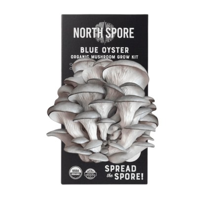 Organic Blue Oyster ‘Spray & Grow’ Mushroom Growing Kit