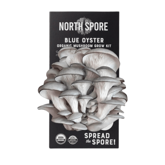 Organic Blue Oyster ‘Spray & Grow’ Mushroom Growing Kit