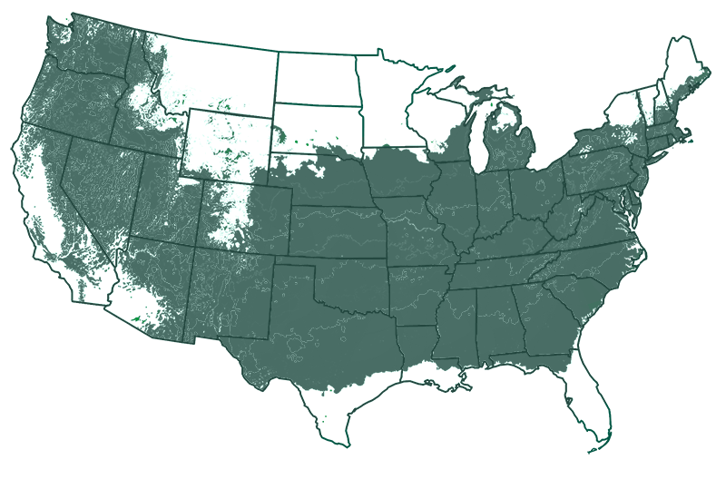 USDA hardiness zone map for zones 5-8 outdoors